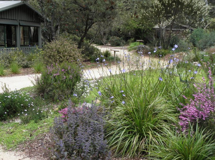 Karwarra Australian Plant Garden and Nursery, Australia